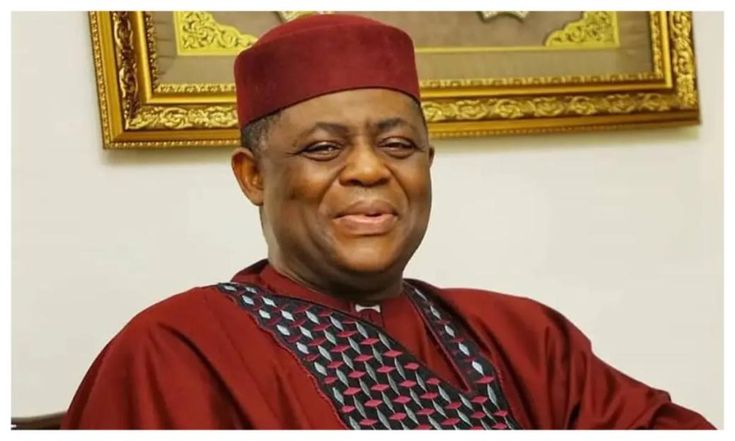 Fani-Kayode Assumes Duty, Pledges to Protect Nigerians in South Africa